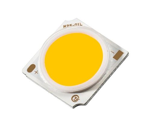 31W 集成COBチップ LED フルスペクトル 屋外装飾用 LED投光灯